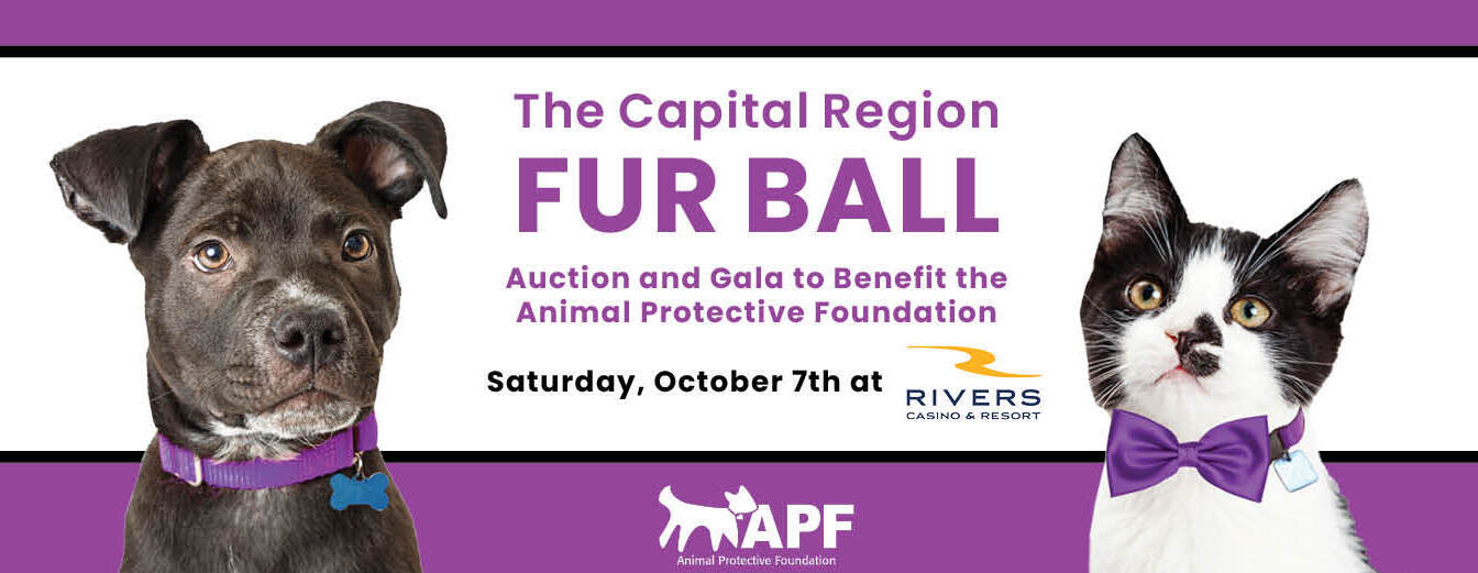 The Capital Region Fur Ball Auction and Gala